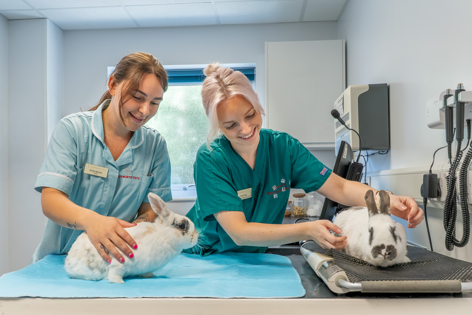 Ashworth Veterinary Group (Web) 2026-06 032