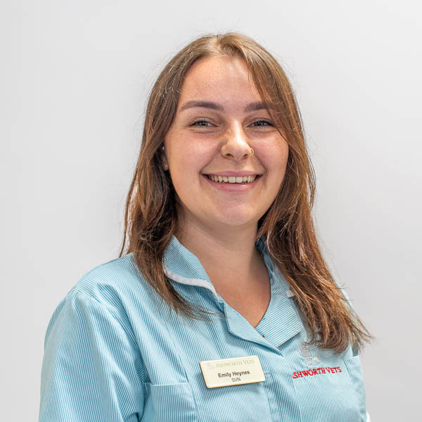 Emily Heynes - Ashworth Veterinary Group - Portraits (Web) 2026-06