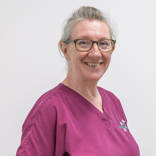 Helen Watson - Ashworth Veterinary Group - Portraits (Web) 2026-06